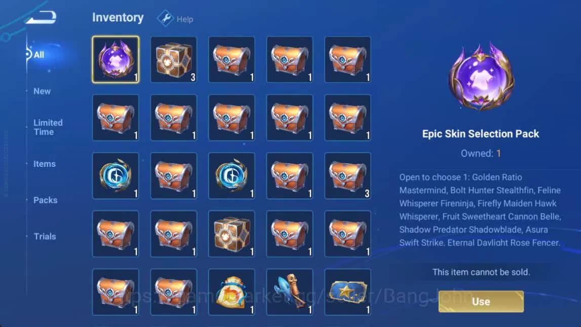 Honor of Kings Accounts GLOBAL | hero 112, skin 154 | flawless arli+daji, image 6