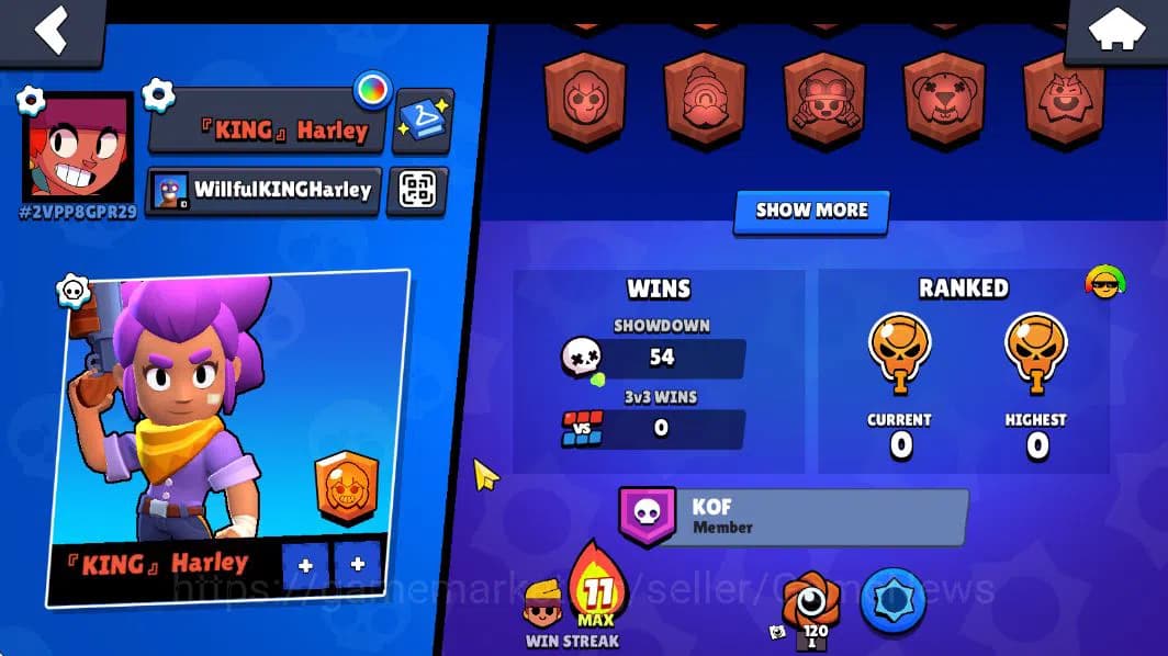 Brawl Stars Accounts 1003 Trophy |16 Brawlers 3 MAX Lvl (Shelly,Rico,Am image 4