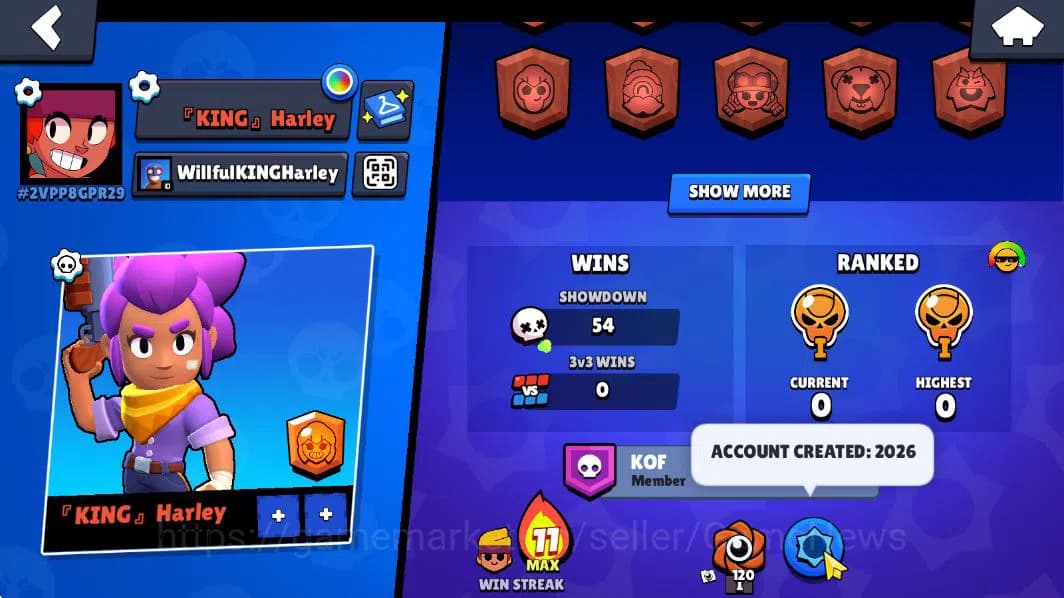 Brawl Stars Accounts 1003 Trophy |16 Brawlers 3 MAX Lvl (Shelly,Rico,Am image 5