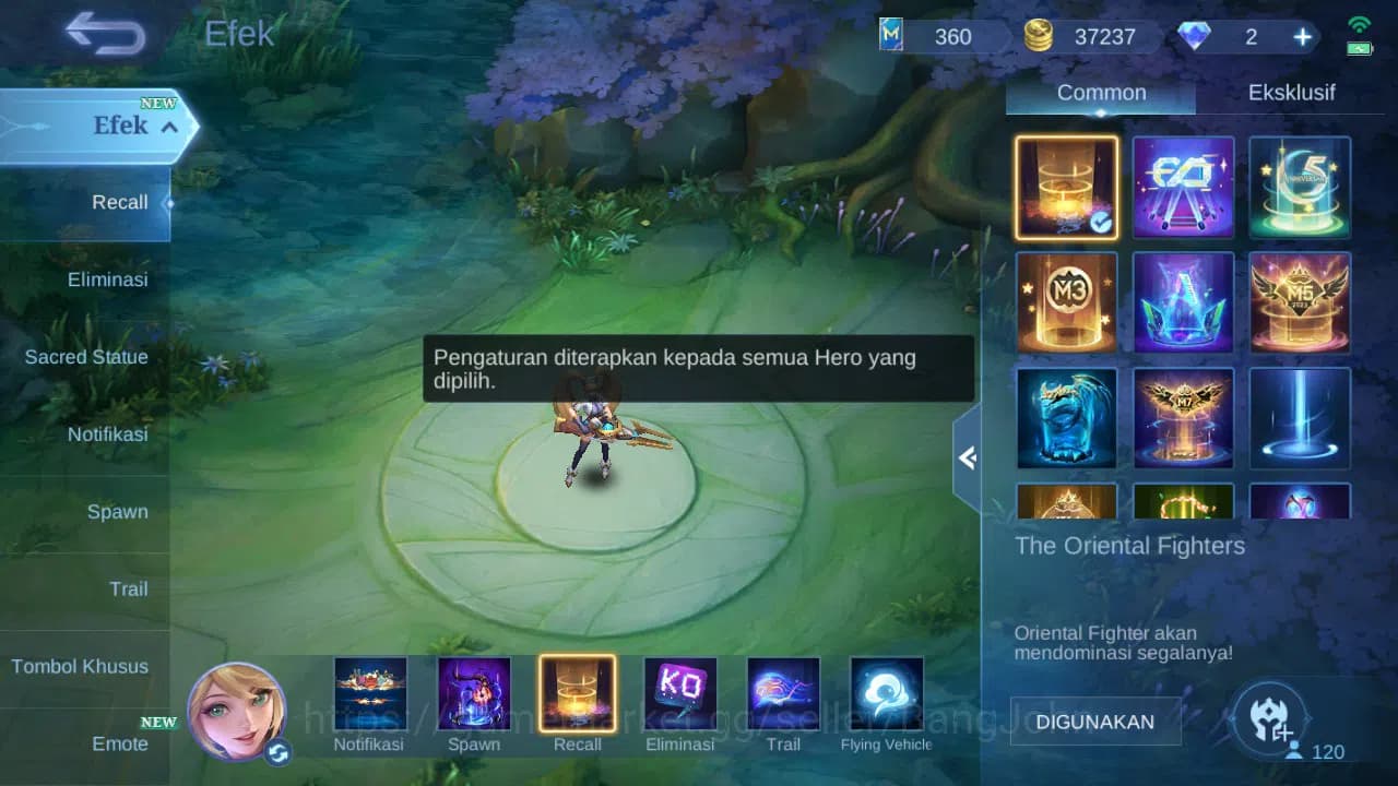 Mobile Legends: Bang Bang Accounts GLOBAL Hero 120 Skin 192 | Prime Granger | Zodiac image 14