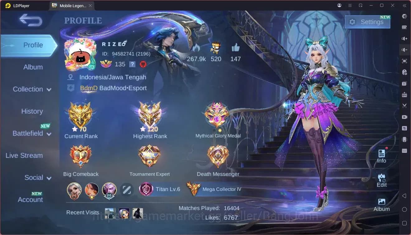 Mobile Legends: Bang Bang Accounts GLOBAL Hero 132 Skin 462|Legend freya|Allstar mosk image 9