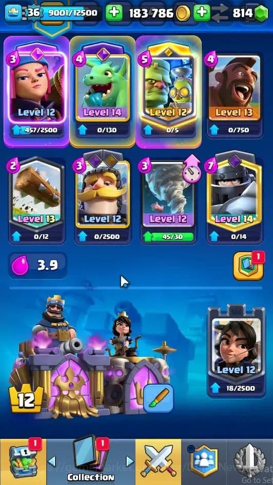 Clash Royale Accounts Lvl 36|Trophy 8000|KTL 12|Limited Skin|Card 120|6 image 3