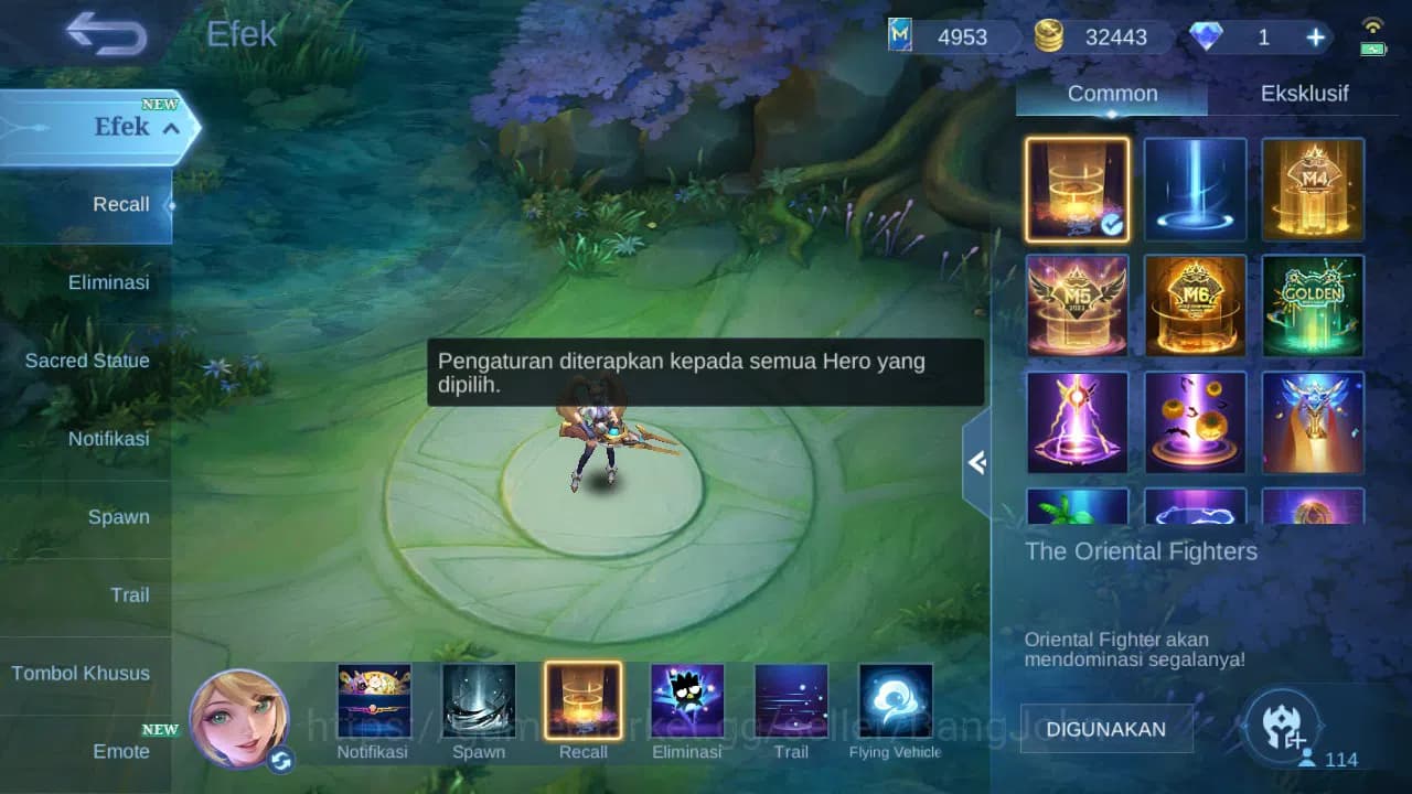 Mobile Legends: Bang Bang Accounts GLOBAL Hero 114 Skin 171 | CC Nata | Luckybox Odet image 13