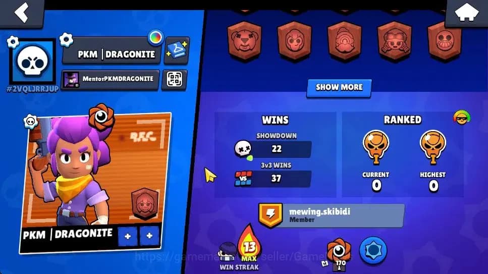 Brawl Stars Accounts 1006 Trophy|8,6K Bling|13 Brawlers 1 Max Lvl [Full image 3