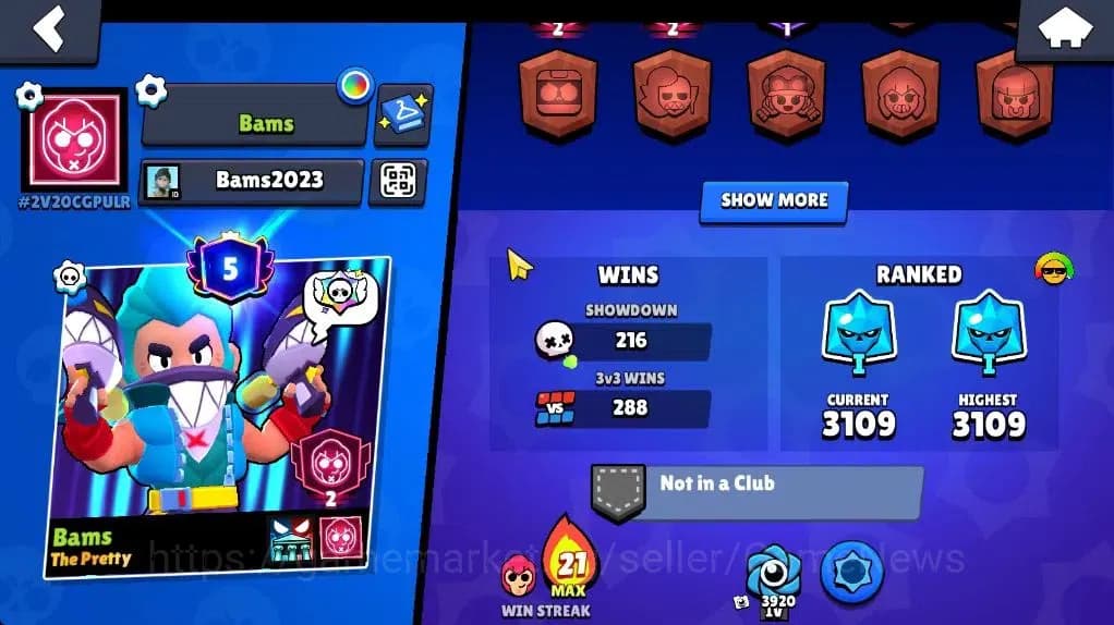 Brawl Stars Accounts 5877 Trophy|2,4K Bling|29 Brawlers 3 Max Lvl |9 Ep image 3