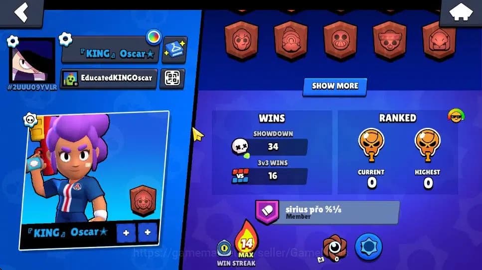 Brawl Stars Accounts 1010 Trophy|4,3K Bling|14 Brawlers 3 Max Lvl [Shel image 3
