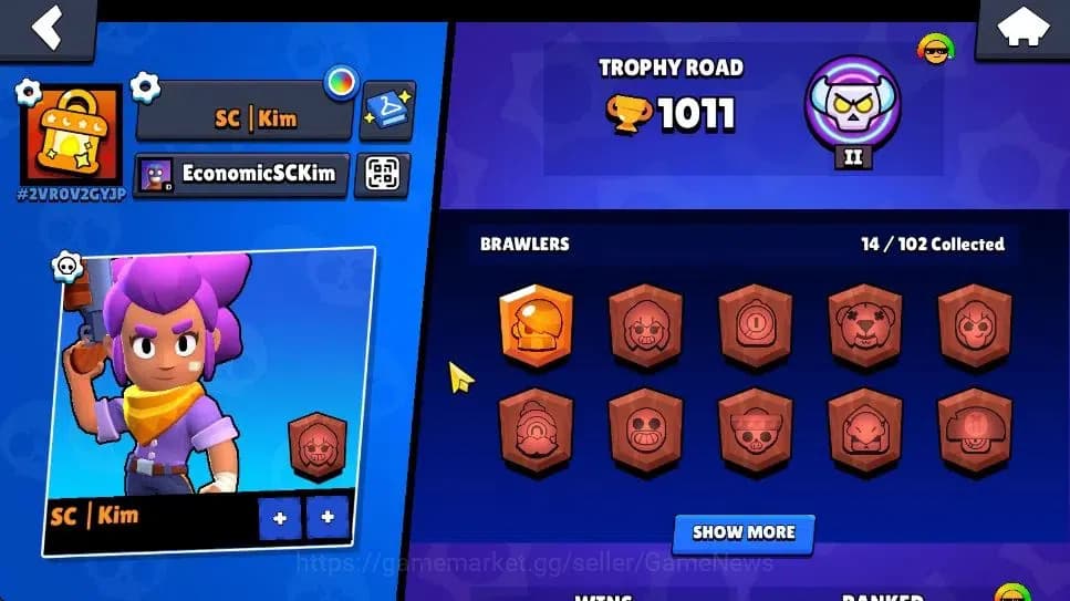 Brawl Stars Accounts 1011 Trophy|4K Bling|14 Brawlers 2 Max Lvl [Shelly image 2
