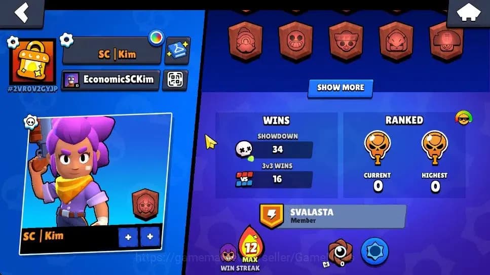 Brawl Stars Accounts 1011 Trophy|4K Bling|14 Brawlers 2 Max Lvl [Shelly image 3