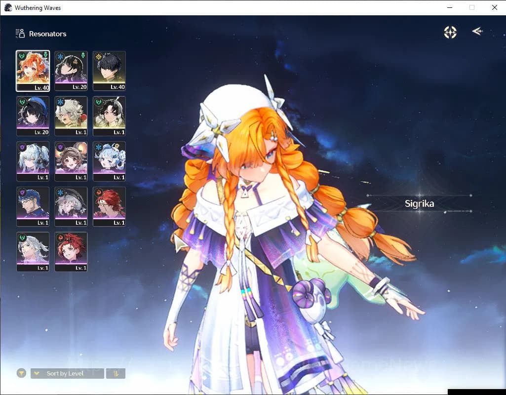 Wuthering Waves Accounts SEA | UL 20 | 1 Limited | Sigrika | MC Male | Data image 16