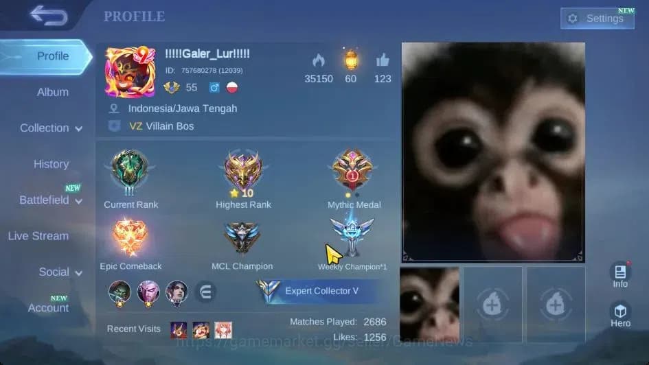 Mobile Legends: Bang Bang Accounts Hero 78|Skin 112|MAX Emblem|KOF Leona Karina, CC N image 2