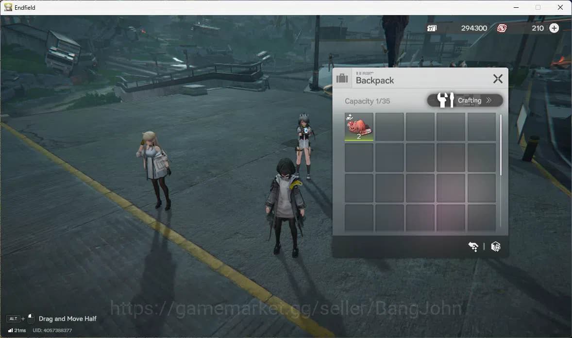 Arknights: Endfield Accounts ASIA|Fresh Starter| 1 limit+Standard| Tangtang, Ar image 12