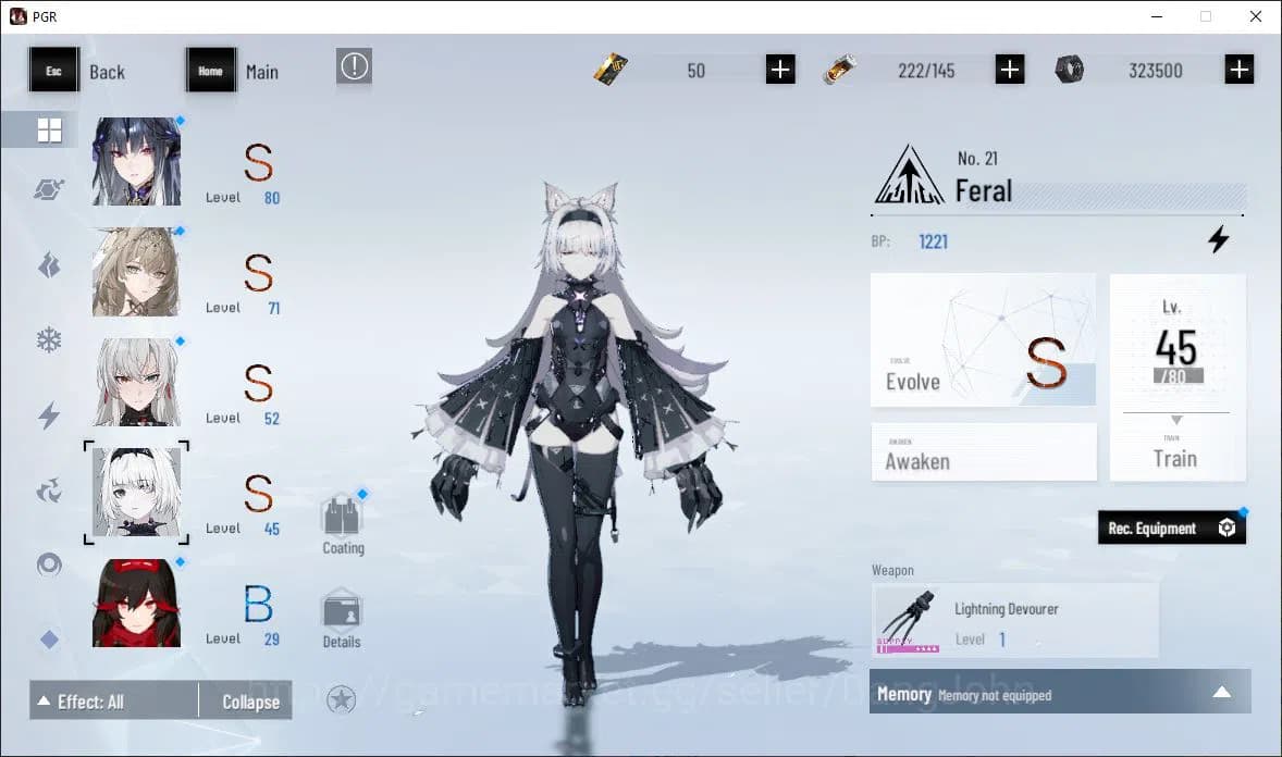 Punishing: Gray Raven Accounts ASIA|Lv 46 | [S Nirvantia,S Crepuscule,S LuciaCW,S image 11