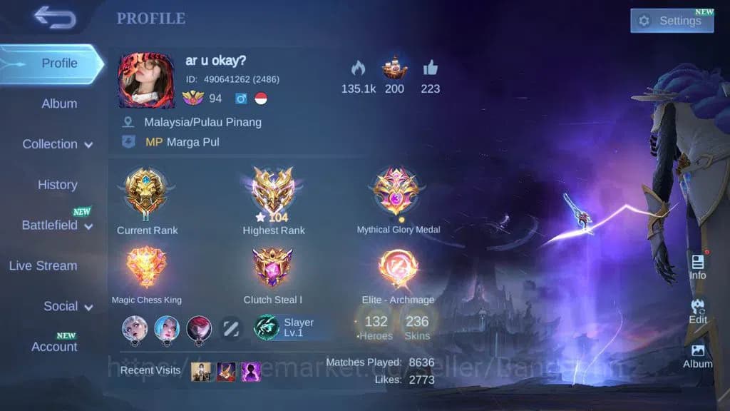 Mobile Legends: Bang Bang Accounts Global, Skin 236,Hero 132|annu Lesley,zodia selena image 1