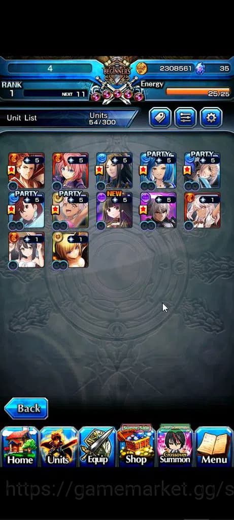 Grand Summoners Accounts Global|Rank 1|12 Ascend|S Miyu,Chloe,OF Kirisame,J image 1