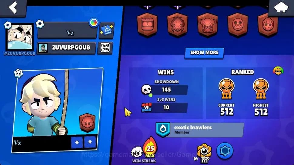 Brawl Stars Accounts 2905 Trophy|11K Bling|30 Brawlers 4 Max Lvl [Full image 3