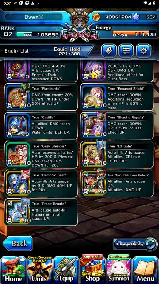 Grand Summoners Accounts GLOBAL | Ascend 14 | Houka TW, Mako TW, Fen,Summer image 11