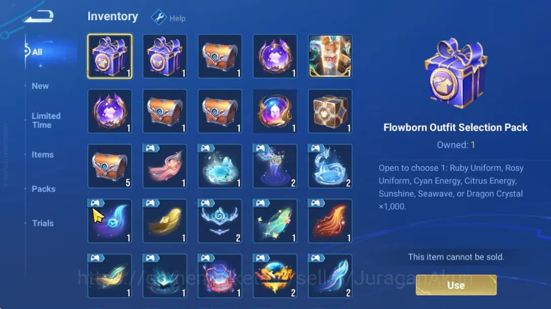 Honor of Kings Accounts Hero 60 Skin 47|KIC Luna,Consort Yu (Legend),Lady image 12
