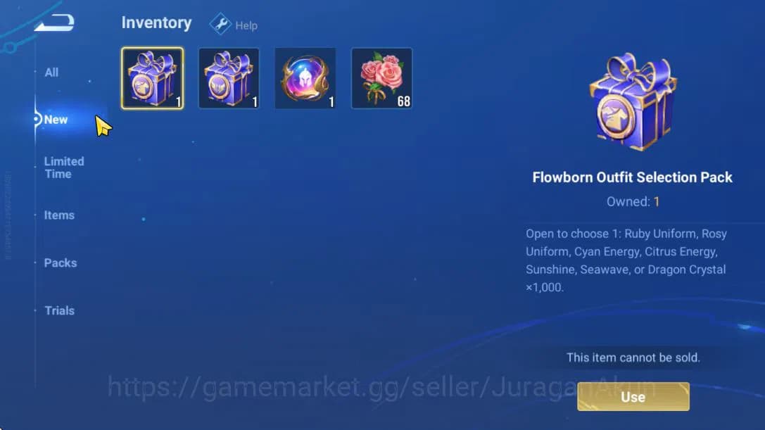 Honor of Kings Accounts Hero 60 Skin 47|KIC Luna,Consort Yu (Legend),Lady image 13
