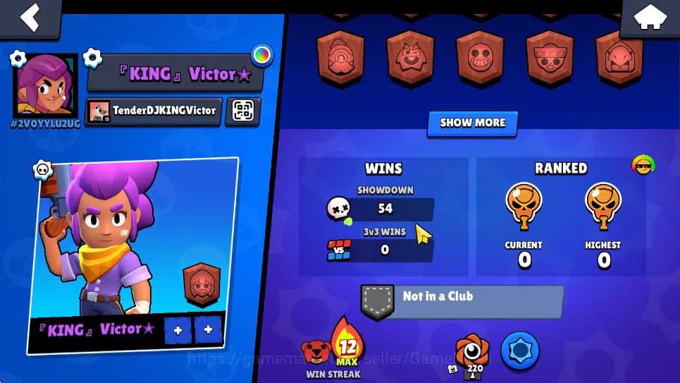 Brawl Stars Accounts 1009 Trophy | 13 Brawlers 2 MAX Lvl | 2 Epic [Moon image 12