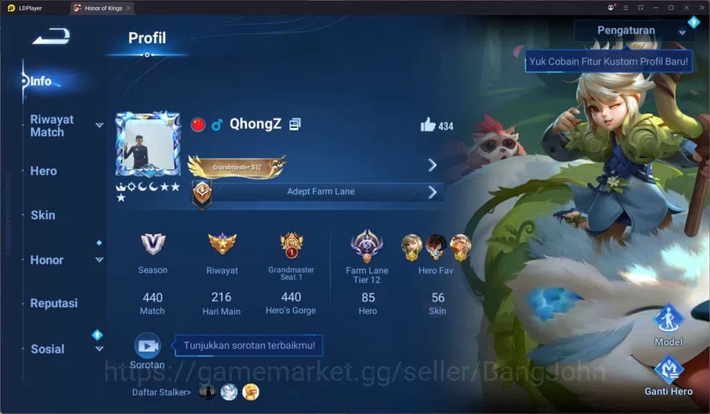 Honor of Kings Accounts Global 85 Hero 56 Skin | Farm Lane T12 | SXD Hou Y image 1