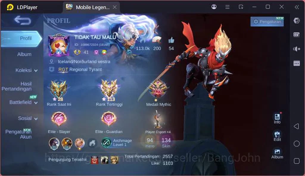 Mobile Legends: Bang Bang Accounts GLOBAL|Hero 94|Skin 134|Annual Hayabusa,CC Natalia image 1