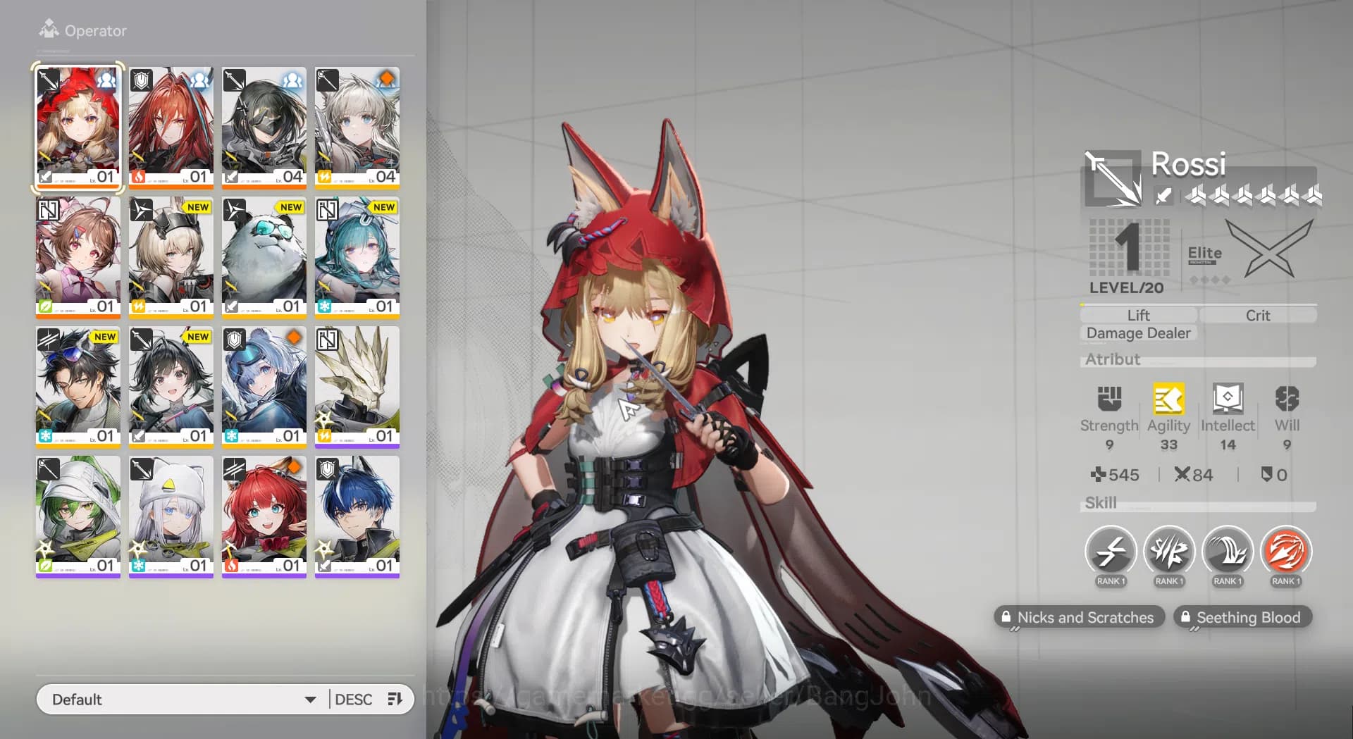 Arknights: Endfield Accounts NA/EU | Starter Rossi | MC Female | AKE135B image 1