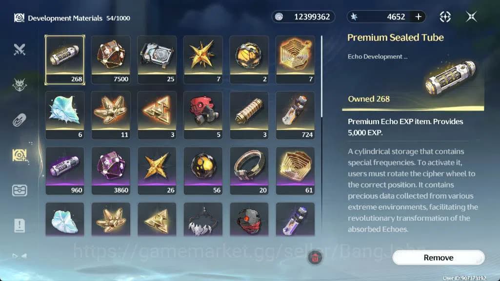 Wuthering Waves Accounts SEA|Union lvl 45|Rank 5|Chisa, Aemeath, Lupa, Chix image 12
