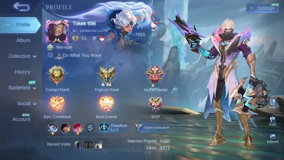 Mobile Legends: Bang Bang Accounts Global|Hero 115 Skin 162|Expert|LBox Irithel|M7 Gr image 1